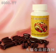 探索保健食品產品庫 從選擇到安全使用指南